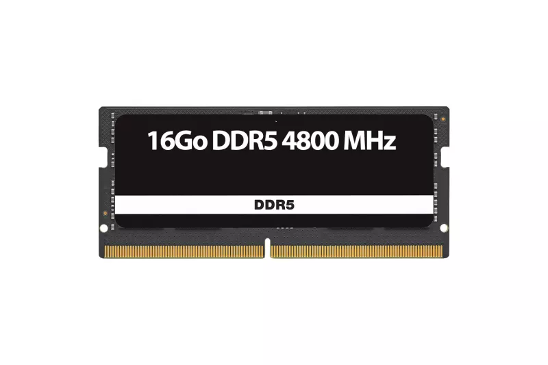 ASUS DDR5-4800 32GB（16GB x 2）U-DIMM KIT 16GB DDR5 4800 MHz RAM for Asus - Ultimate Performance