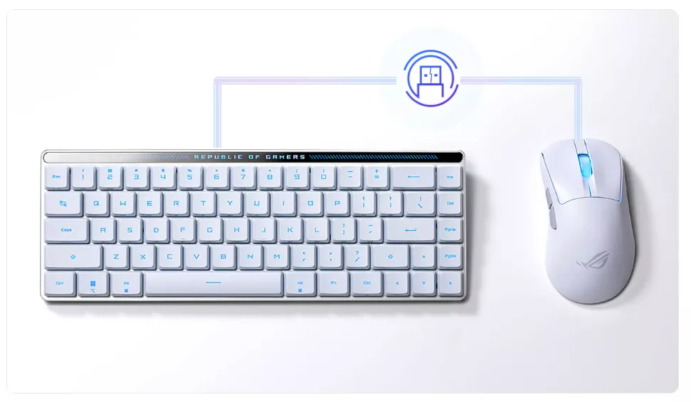 キーボード ASUS ROG FALCHION RX low profile ( US ) ROG Falchion RX Low Profile: Compact, high-performance gaming keyboard